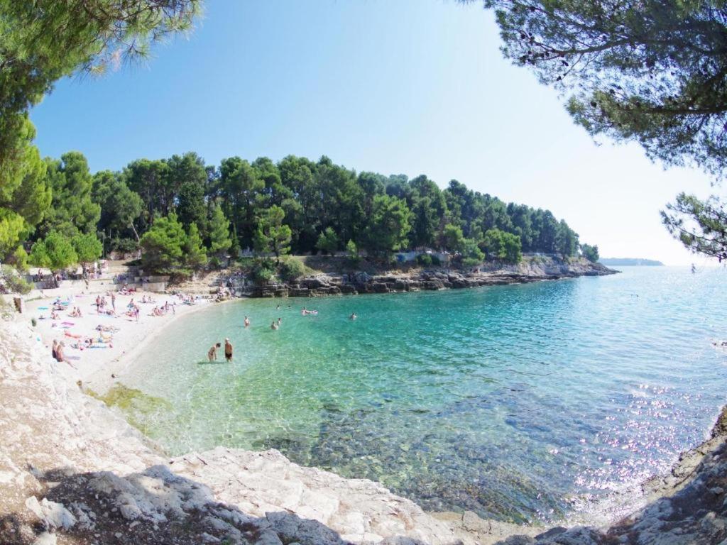 Gortanova * Pula